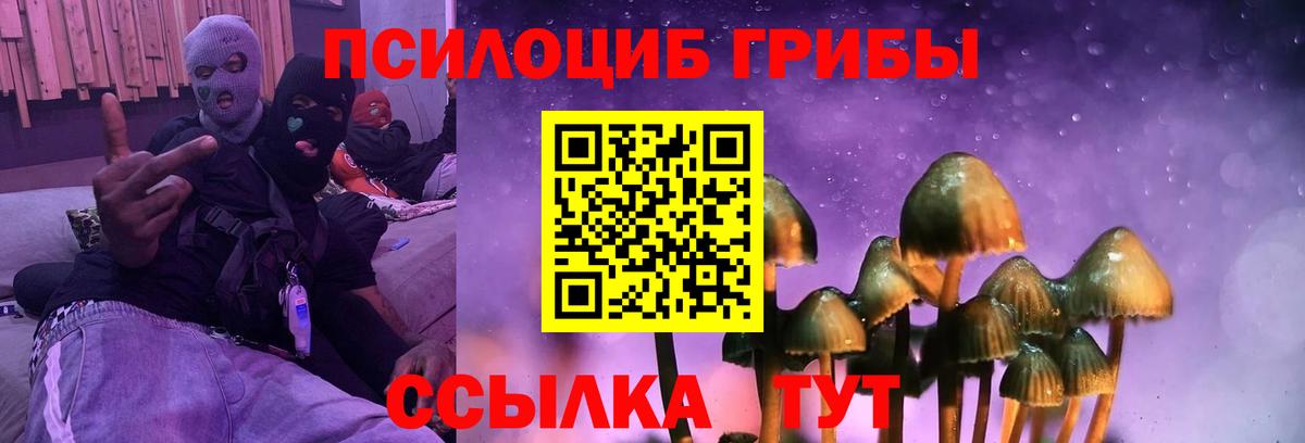 Псилоцибиновые грибы мицелий  Вход с VPN  купить наркотики цена  Кострома 
